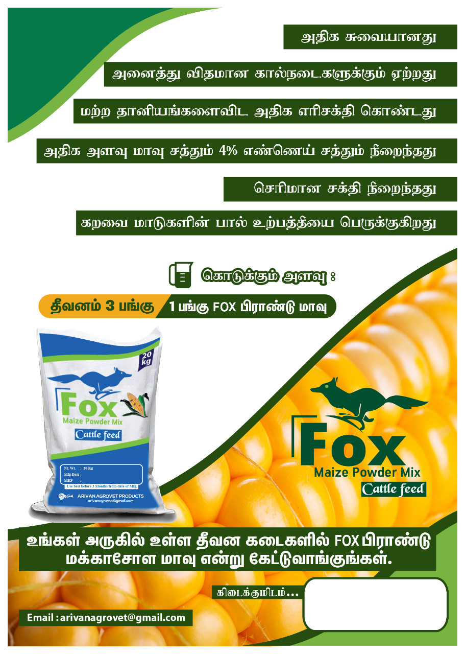 Cattle Feed Fox Maize Powder Mix