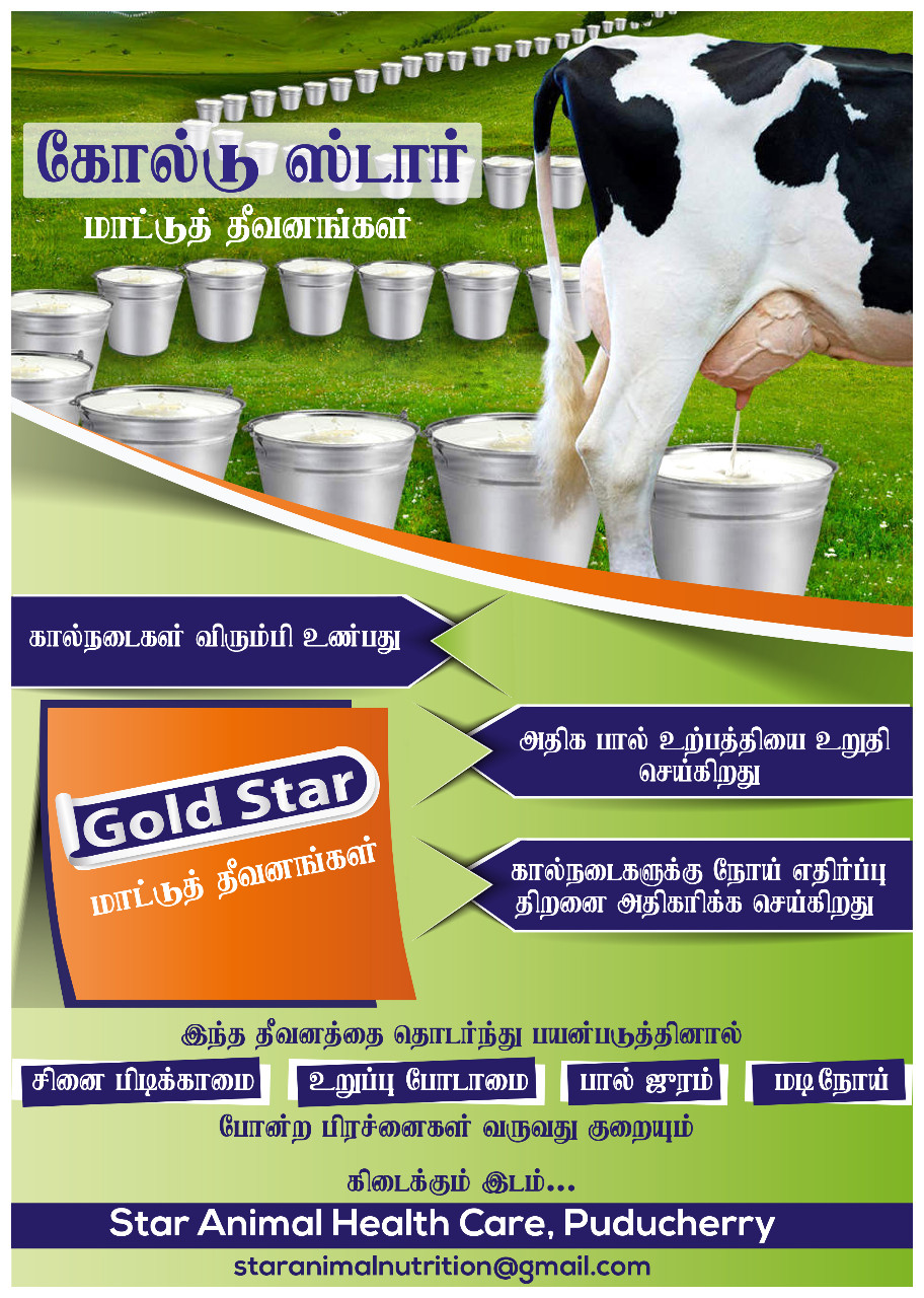 Cattle Feed Star Gold Cattle Feed