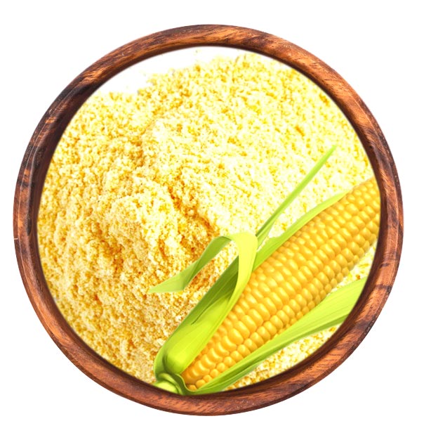 Feed Raw Materials manufacturers suppliers Maize Powder