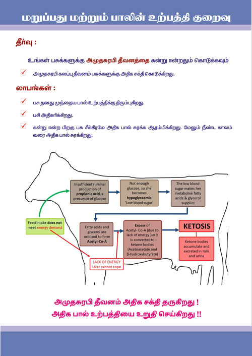 Cattle Feed Manufacturers suppliers Tamilnadu Pondicherry