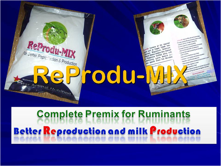 Feed Supplements manufacturers suppliers